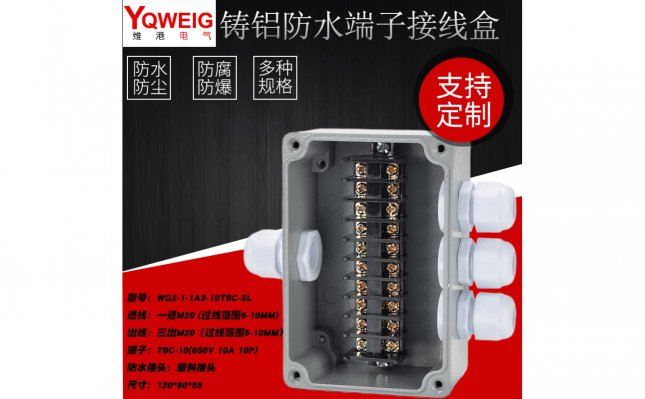 WG2-1-1A3-10TBC-SL-铸铝端子接线盒