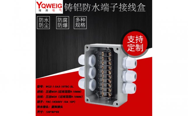 WG2-1-3A3-10TBC-SL-铸铝端子接线盒