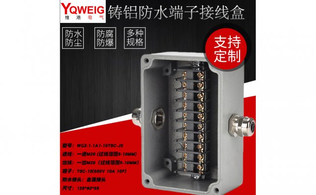 WG2-1-1A1-10TBC-JS-铸铝端子接线盒