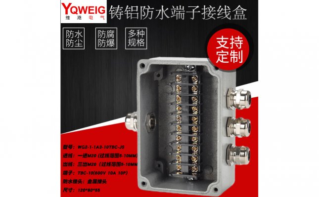 WG2-1-1A3-10TBC-JS-铸铝端子接线盒