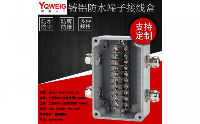 WG2-1-2A2-10TBC-JS-铸铝端子接线盒