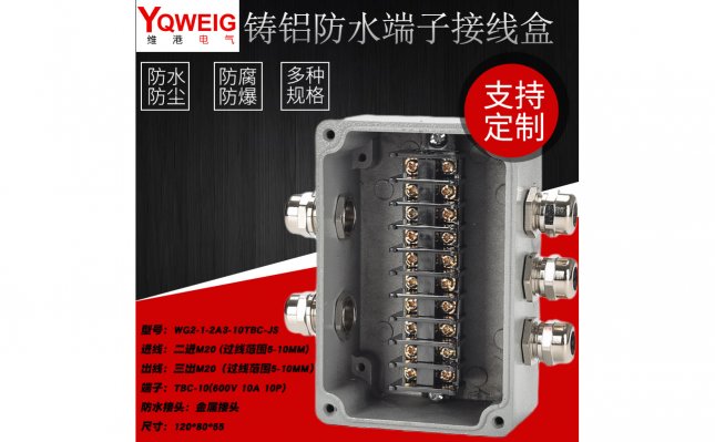 WG2-1-2A3-10TBC-JS-铸铝端子接线盒
