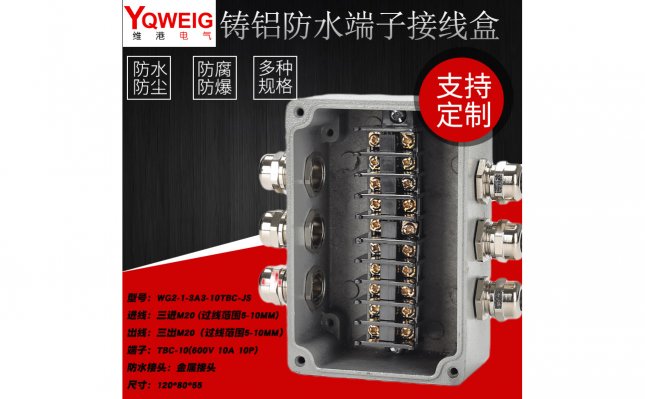 WG2-1-3A3-10TBC-JS-铸铝端子接线盒