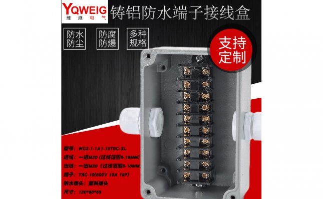 WG2-1-1A1-10TBC-SL-铸铝端子接线盒