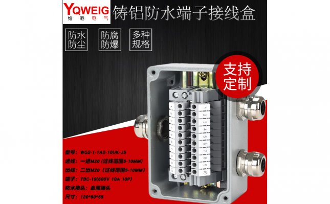 WG2-1-1A2-10UK-JS-铸铝端子接线盒