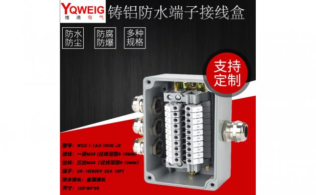 WG2-1-1A3-10UK-JS-铸铝端子接线盒
