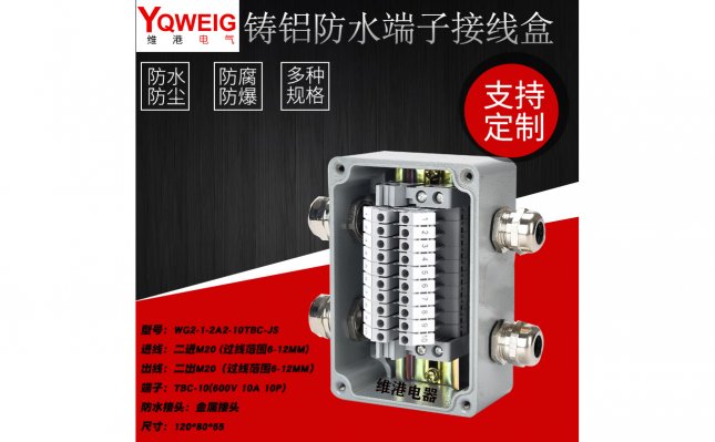 WG2-1-2A2-10UK-JS-铸铝端子接线盒
