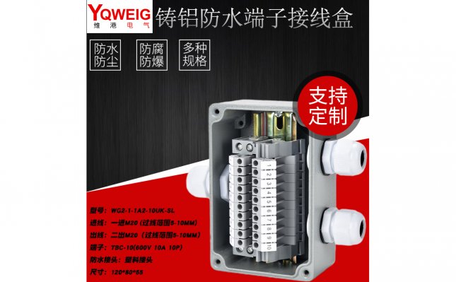 WG2-1-1A2-10UK-SL-铸铝端子接线盒