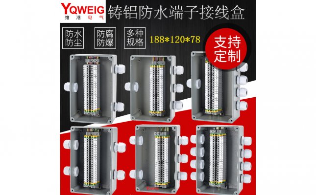 WG3-铸铝端子接线盒集体