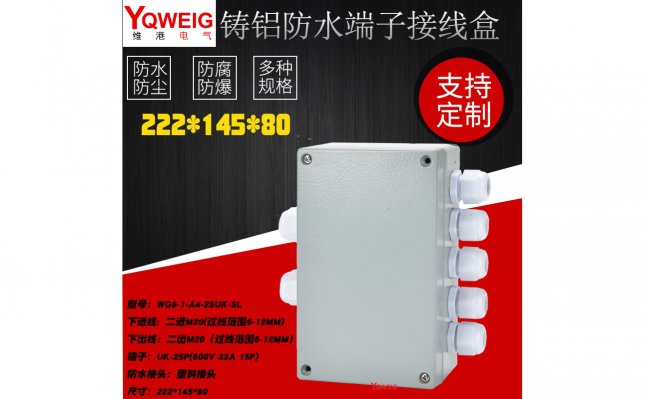WG6-1-A4-25UK-SL铸铝端子接线盒
