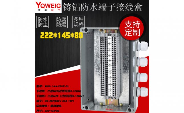 WG6-1-A4-25UK-SL-铸铝端子接线盒