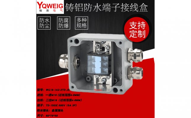 WG18-1A2-3TD-JS-铸铝端子接线盒