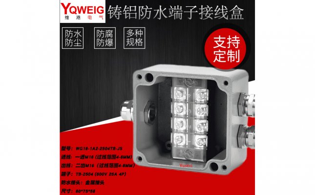WG18-1A2-2504TB-JS-铸铝端子接线盒