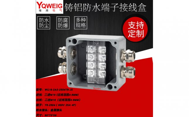 WG18-2A2-2504TB-JS铸铝端子接线盒