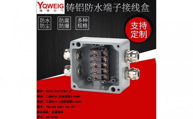 WG18-2A2-5TBC-JS铸铝端子接线盒