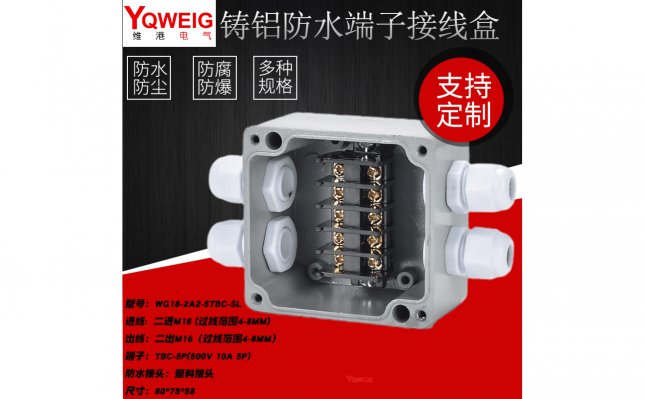WG18-2A2-5TBC-SL-铸铝端子接线盒