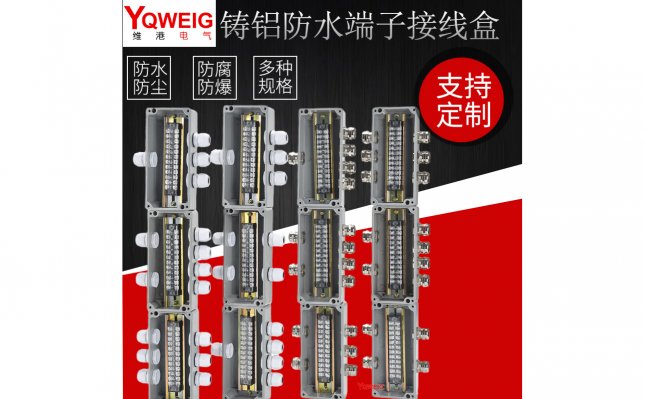 WG20-2A4-12TB-SL-铸铝端子接线盒集体