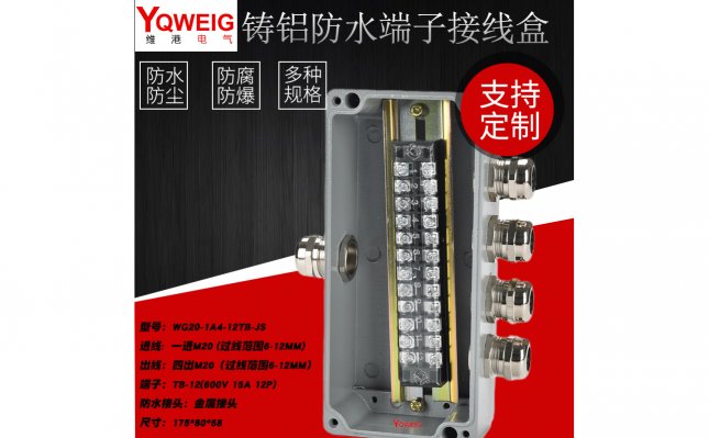 WG20-1A4-12TB-JS-铸铝端子接线盒