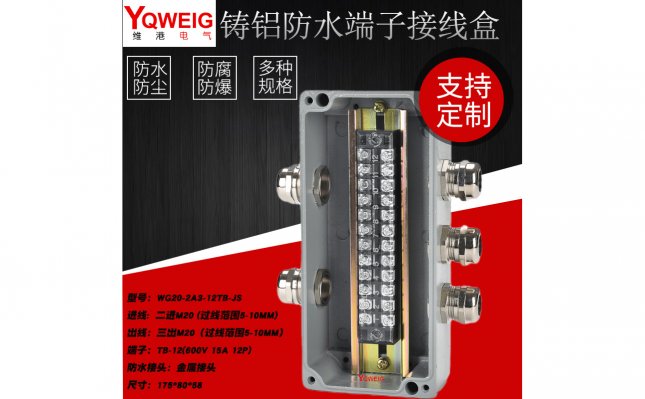 WG20-2A3-12TB-JS-铸铝端子接线盒