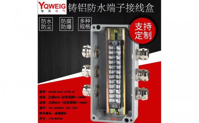 WG20-3A3-12TB-JS-铸铝端子接线盒