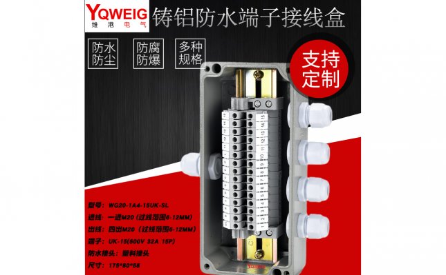 WG20-1A4-15UK-SL-铸铝端子接线盒