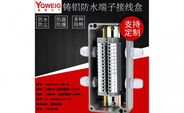 WG20-2A2-15UK-SL-铸铝端子接线盒