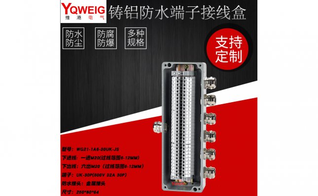 WG21-1A6-30UK-JS铸铝端子接线盒