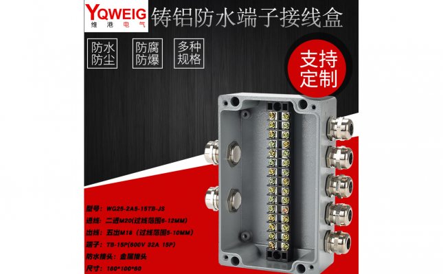 WG25_TB_WG25-2A5-15TB-JS铸铝端子接线盒