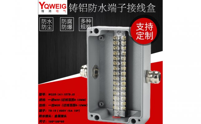 WG25-1A1-15TB-JS-铸铝端子接线盒