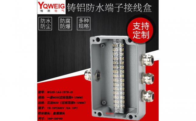 WG25-1A3-15TB-JS-铸铝端子接线盒