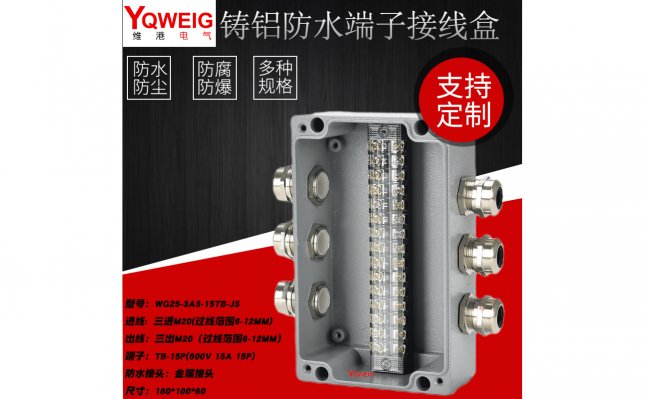 WG25-3A3-15TB-JS-铸铝端子接线盒