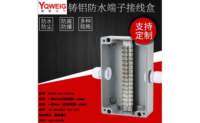 WG25-1A1-15TB-SL-铸铝端子接线盒