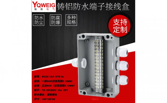 WG25-1A3-15TB-JS铸铝端子接线盒