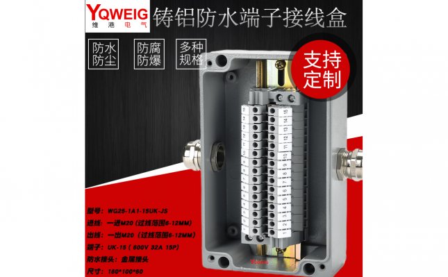 WG25-1A1-15UK-JS-铸铝端子接线盒