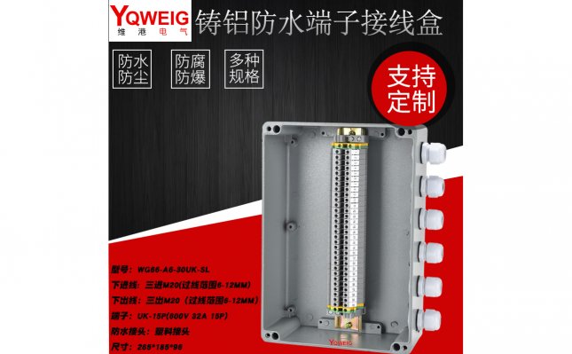 WG66-A6-30UK-SL铸铝端子接线盒